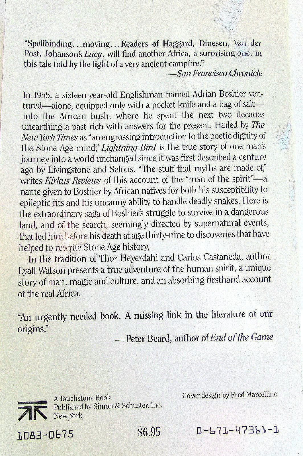 Lightning Bird: The Story of One Man's Journey into Africa's