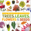 Trees, Leaves, Flowers & Seeds: A Visual Plant Encyclopedia for Kids (DK Our World in Pictures)