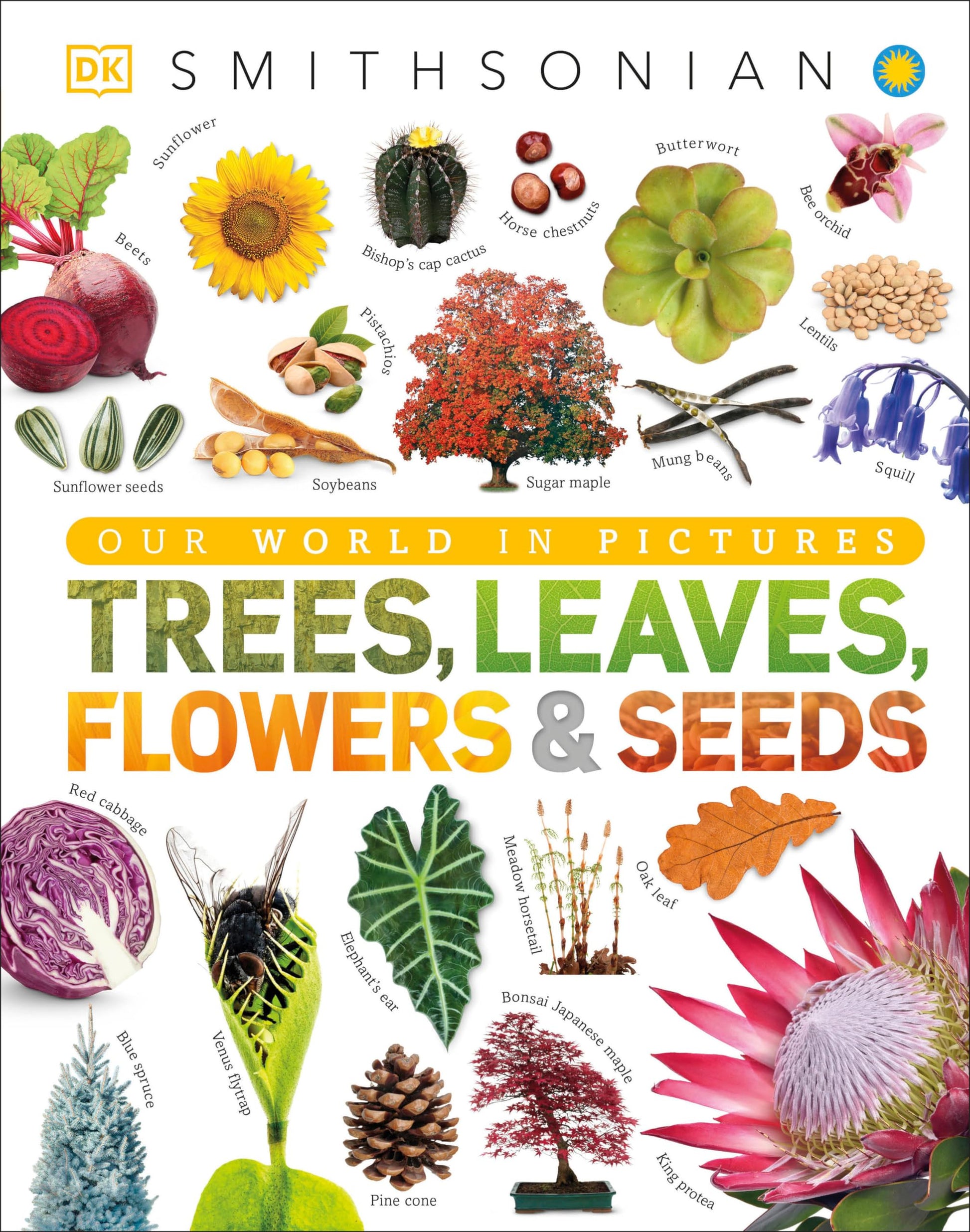 Trees, Leaves, Flowers & Seeds: A Visual Plant Encyclopedia for Kids (DK Our World in Pictures)