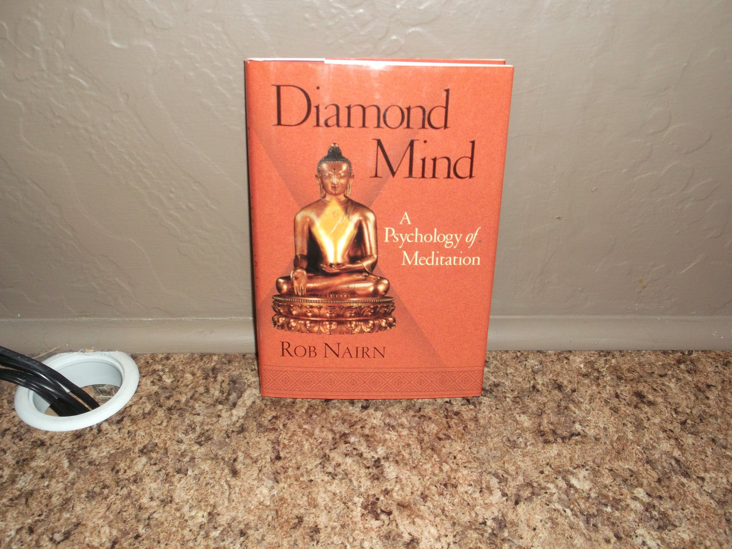 Diamond Mind by Rob Nairn
