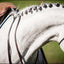 Equestrian Life in the Hamptons