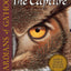 The Capture (Guardians of Ga'hoole, Book 1)