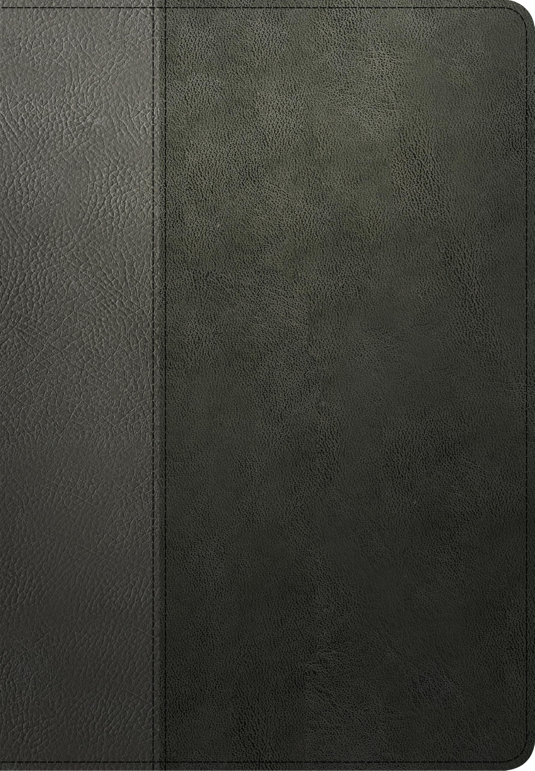 NLT Life Recovery Bible, Second Edition, Personal Size (LeatherLike, Black/Onyx)