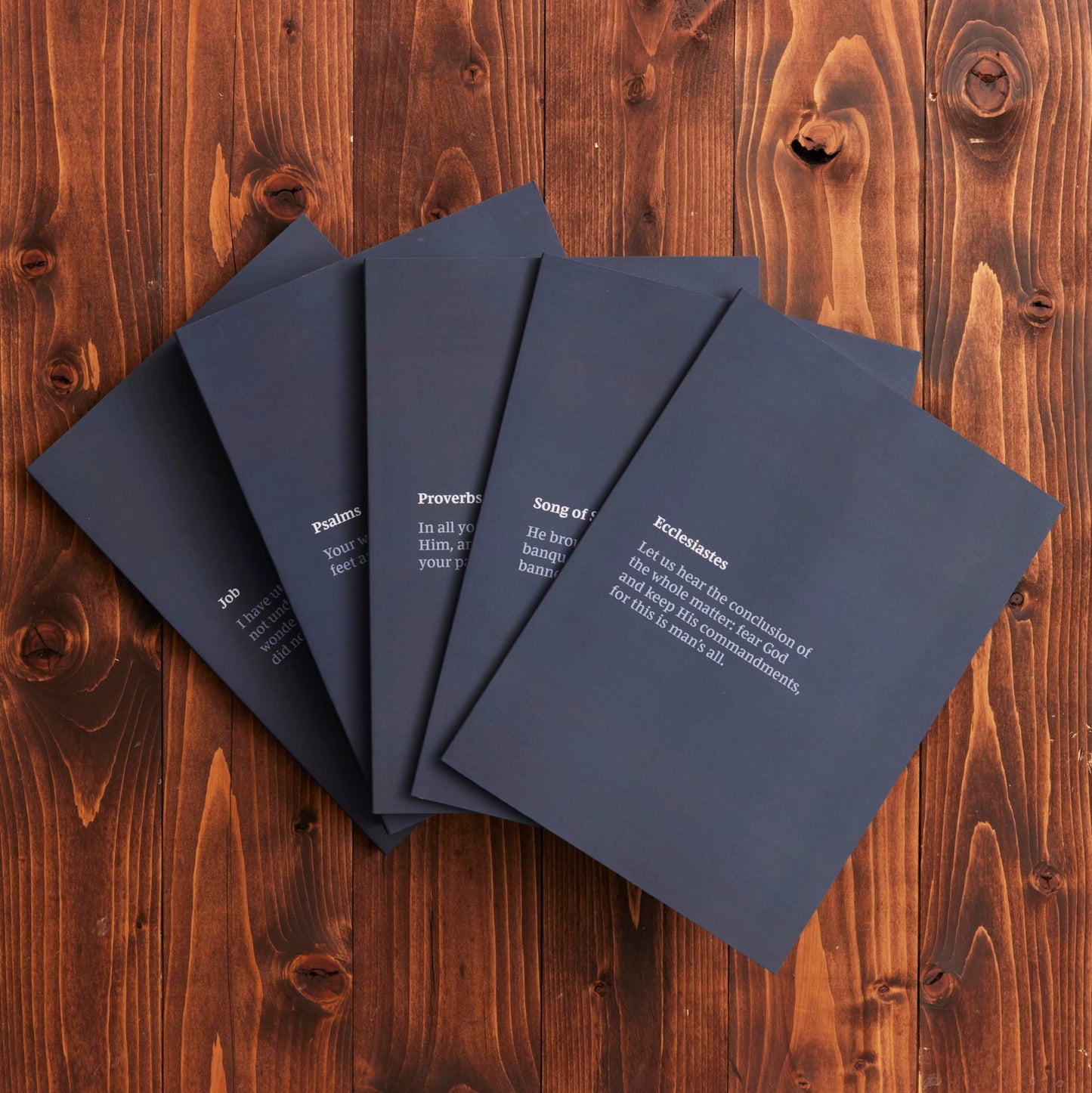 NKJV Bible Journal - Proverbs, Softcover, Comfort Print: Holy Bible, New King James Version