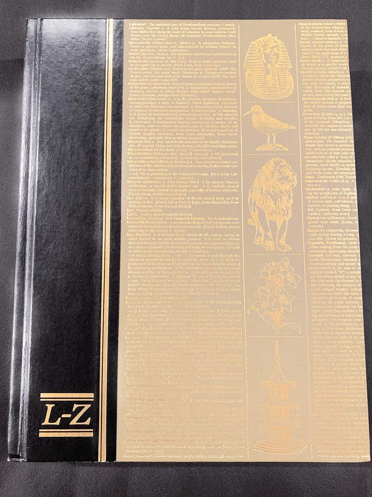 Readers Digest Illustrated Encyclopedia Dictionary