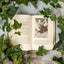 Adventures from the Land of Stories: The Mother Goose Diaries