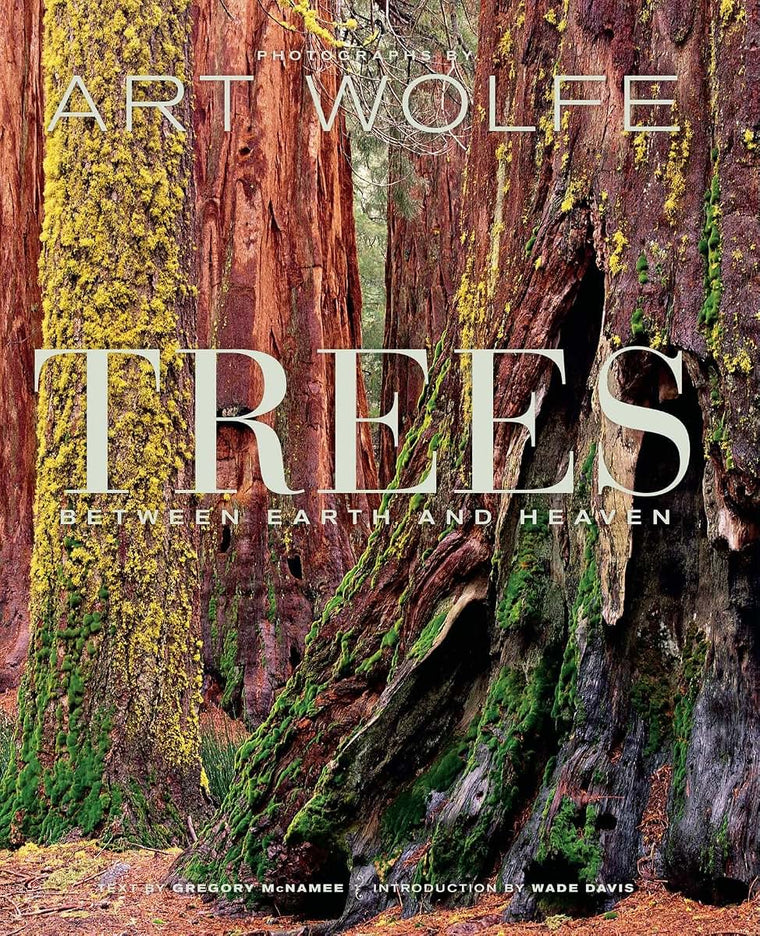 Trees: Between Earth and Heaven