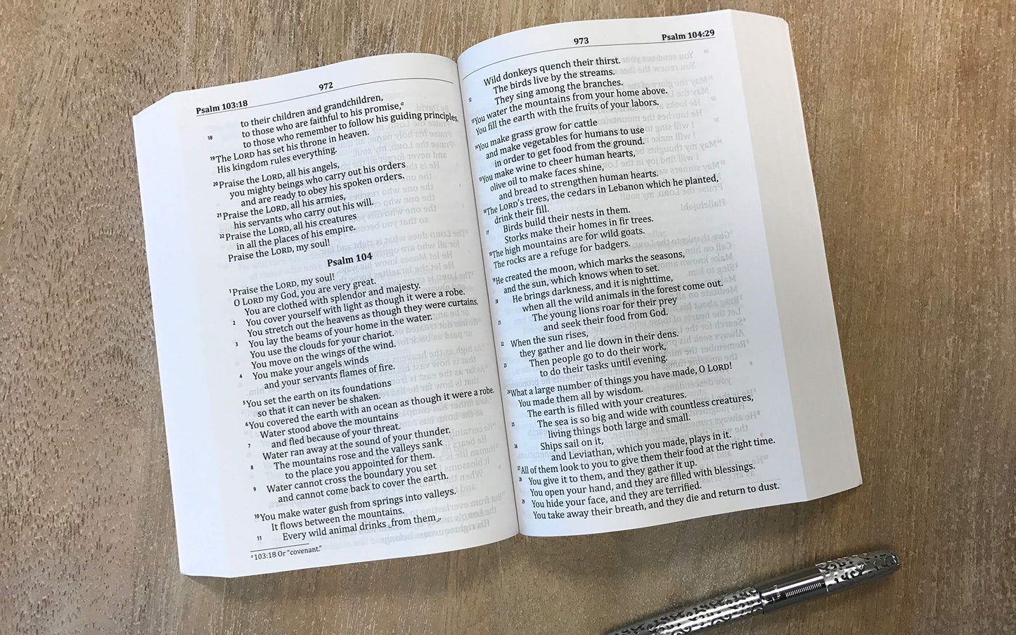 GODS WORD Translation Large Print Bible: The Bible in Clear, Natural English