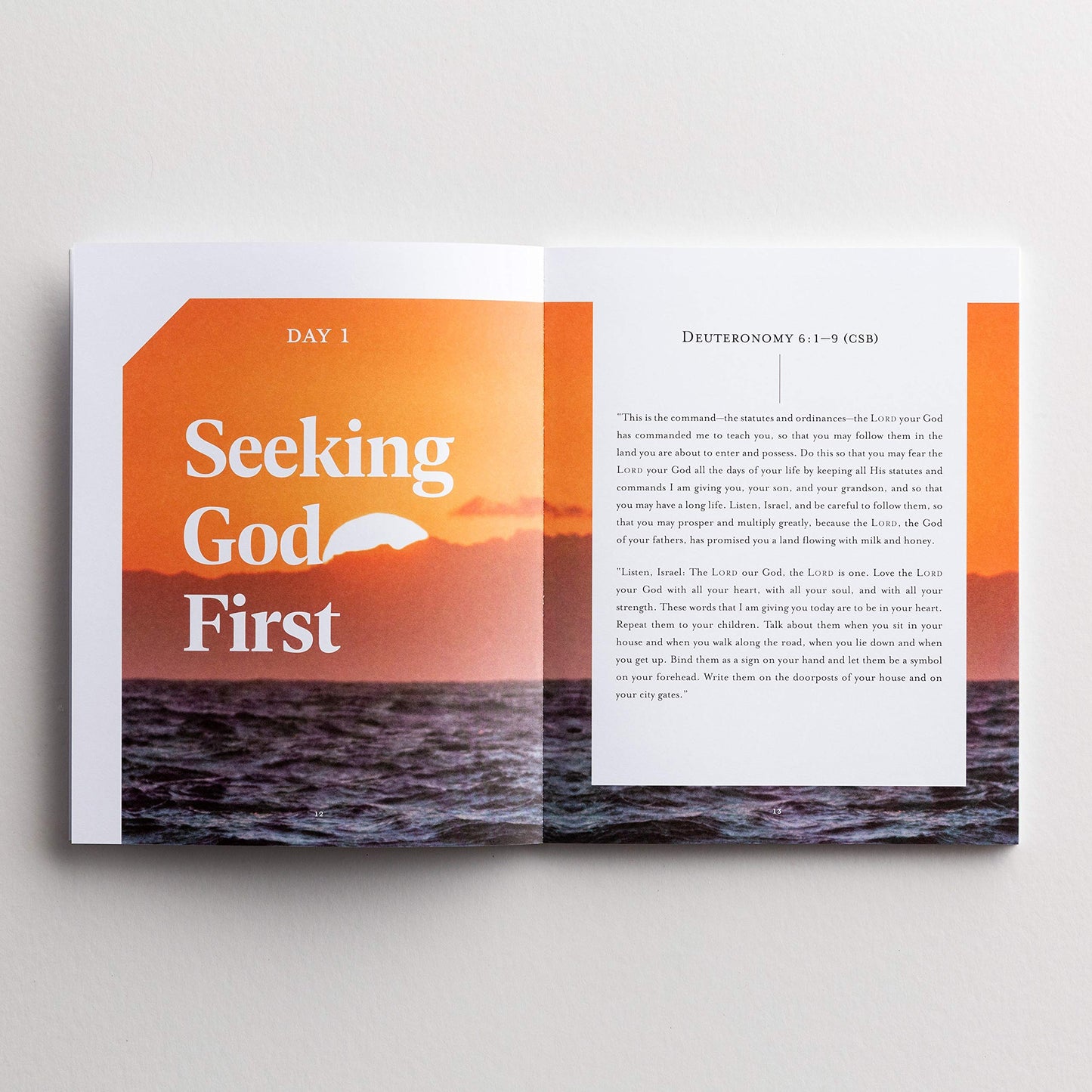 Authentic Living: Jesus Every Day Devotional Guide