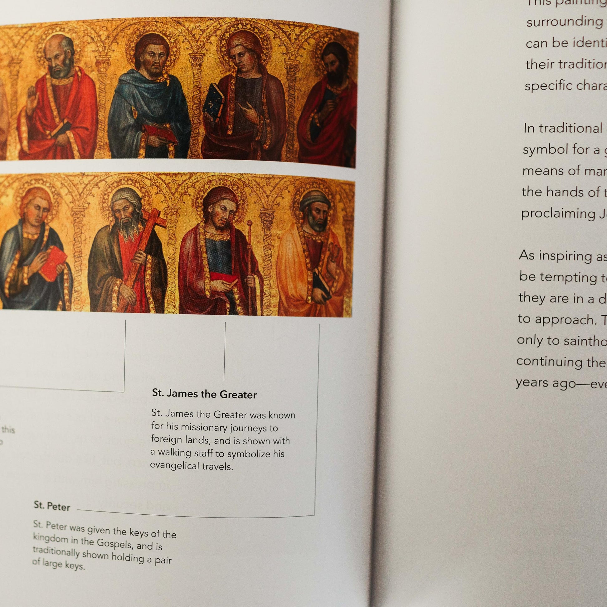 The Word on Fire Bible (Volume I): The Gospels (Hardcover) (Word on Fire Bible Series)