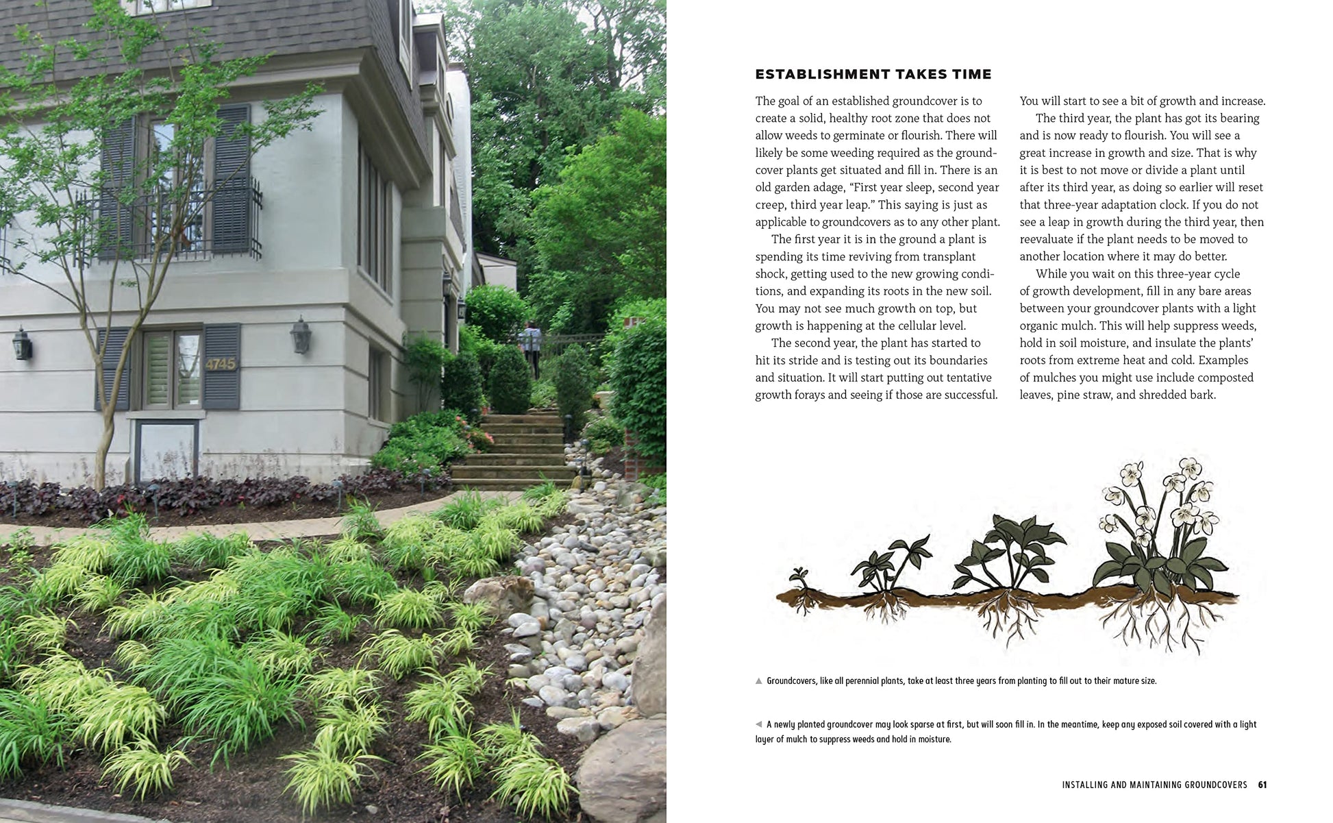 Groundcover Revolution: How to use sustainable, low-maintenance, low-water groundcovers to replace your turf - 40 alternative choices for: - No Mowing. - No fertilizing. - No pesticides. - No problem!