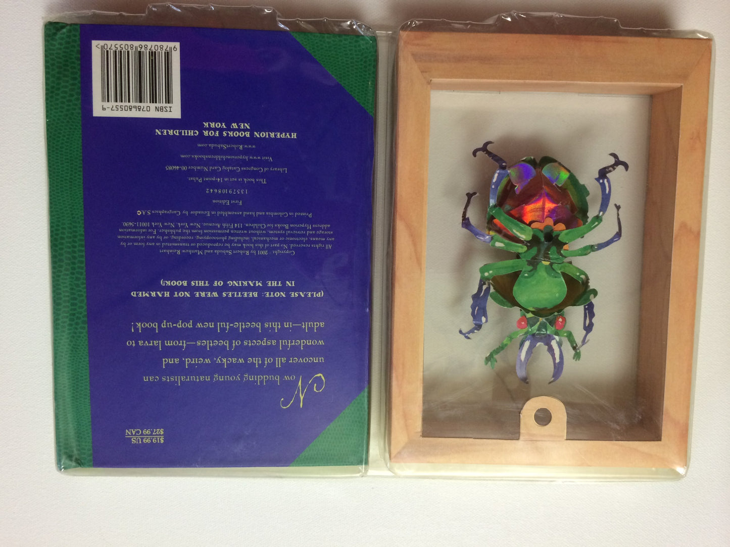 Young Naturalist's Pop-Up Handbook: Beetles - Book #1