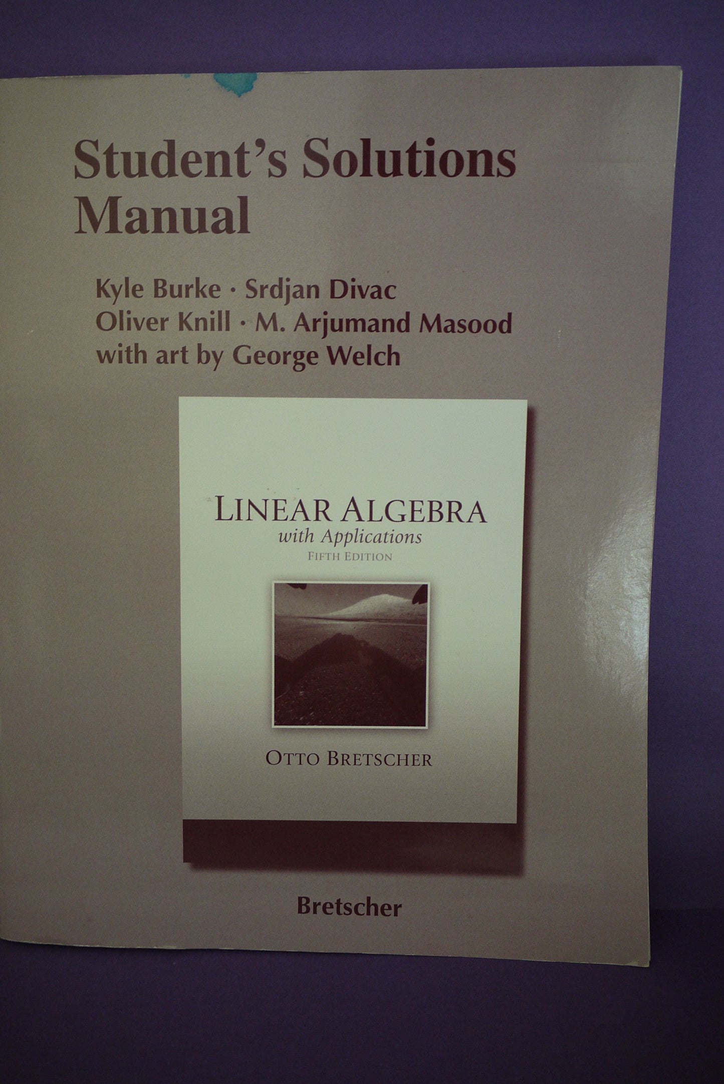Student Solutions Manual for Linear Algebra with Application