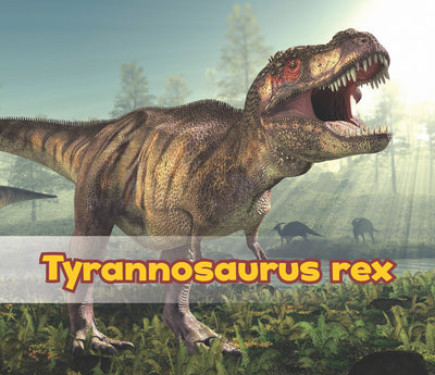 Tyrannosaurus Rex (Acorn: All About Dinosaurs)