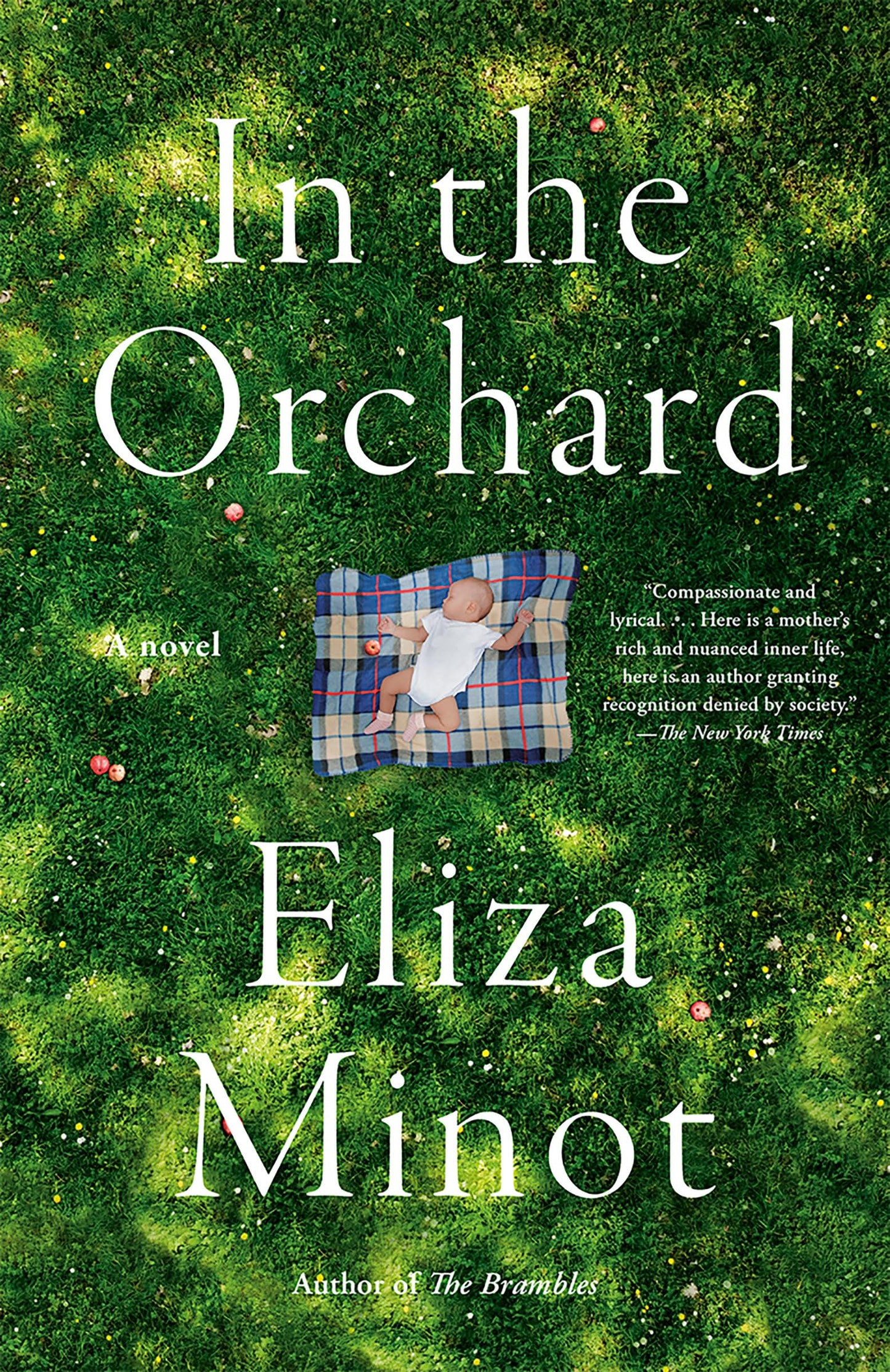 In the Orchard: A novel (Vintage Contemporaries)