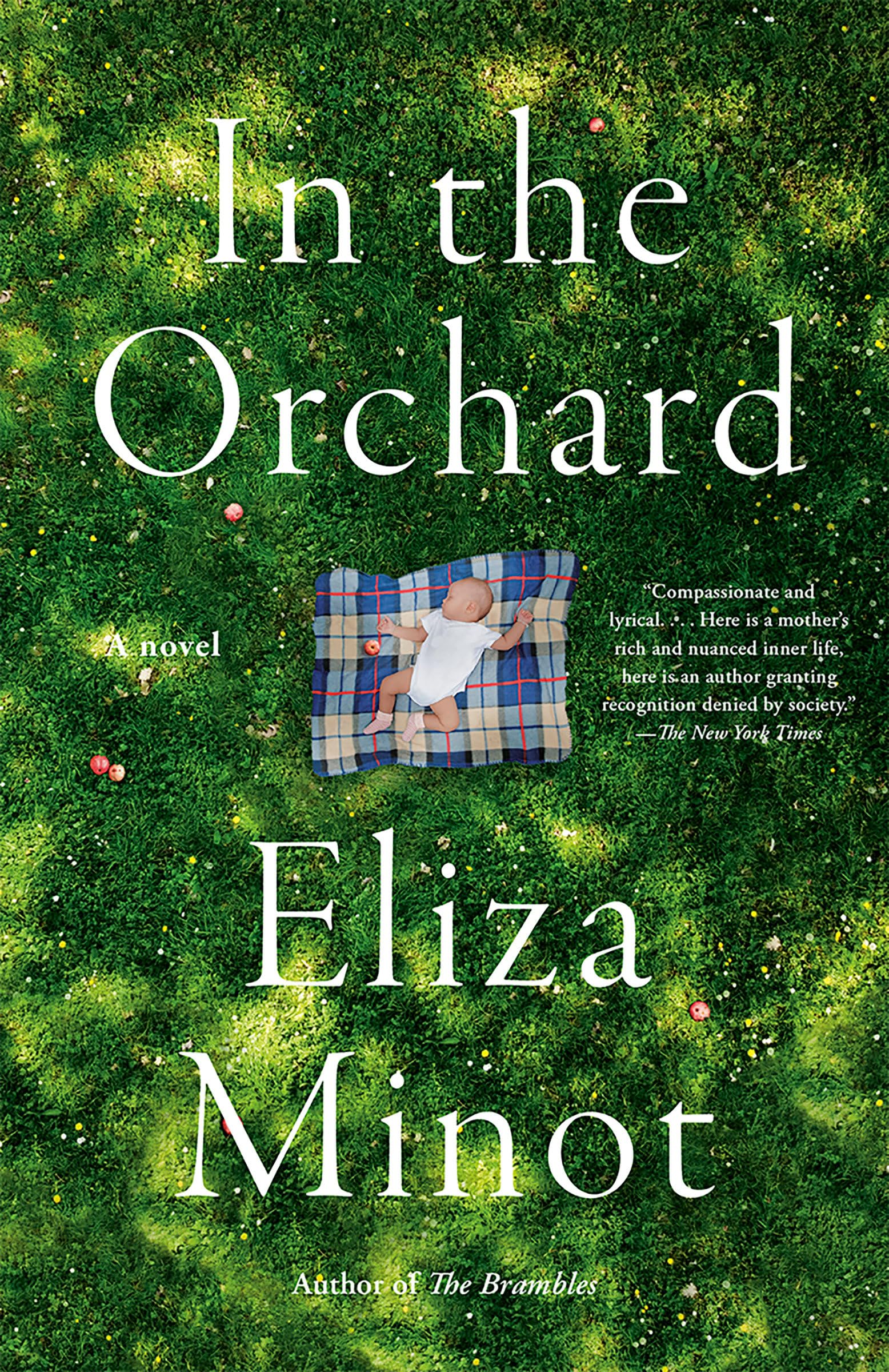 In the Orchard: A novel (Vintage Contemporaries)
