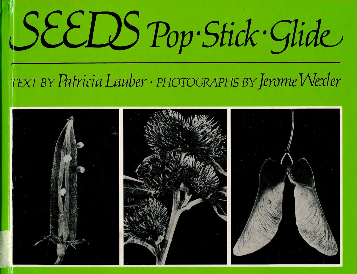 Seeds: Pop-Stick-Glide-Glb