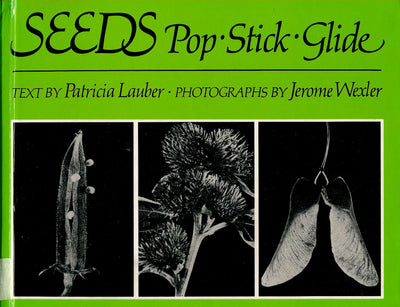 Seeds: Pop-Stick-Glide-Glb
