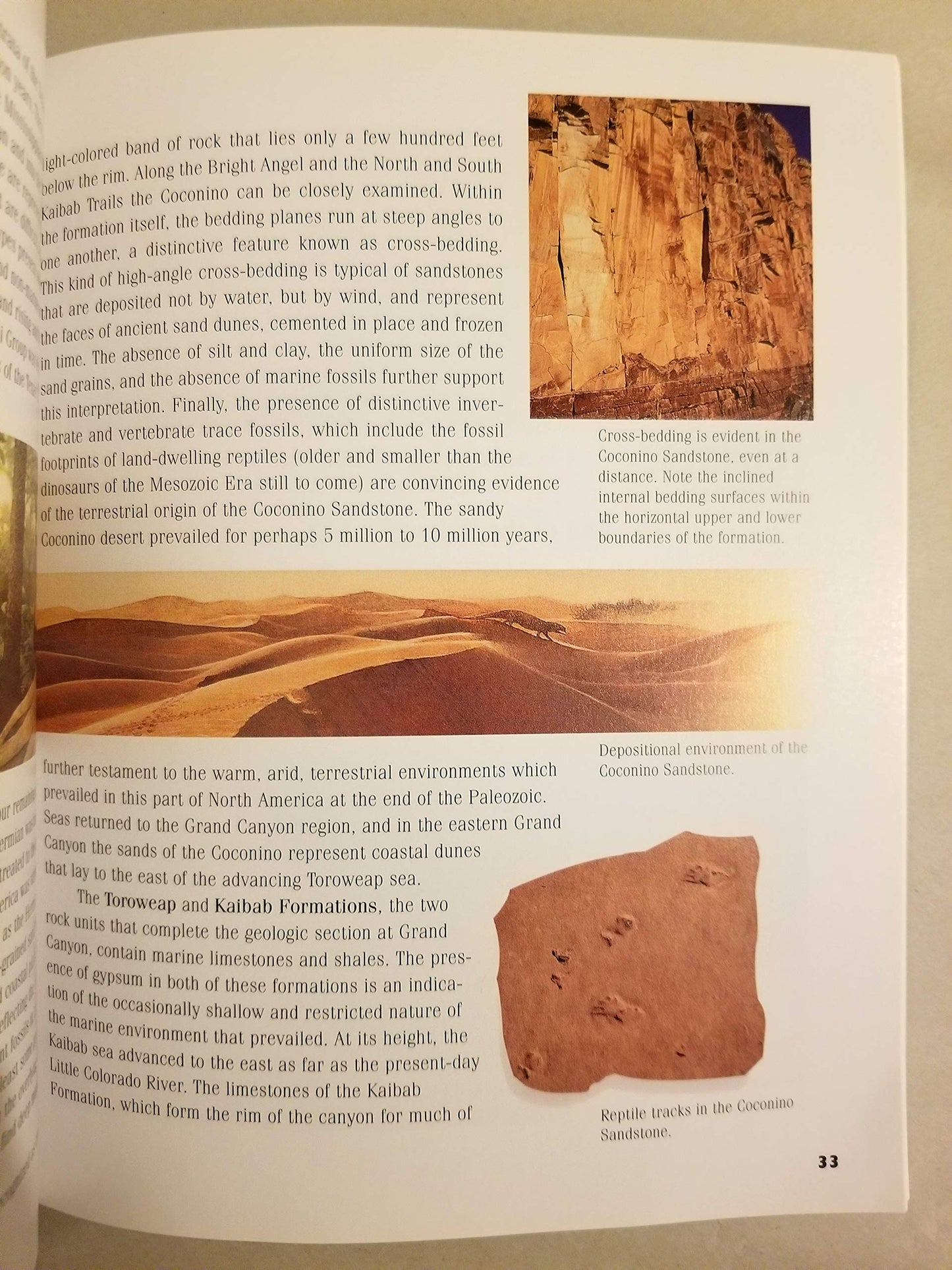 Grand Canyon Geology