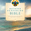 Beyond Suffering Bible NLT (Softcover): Where Struggles Seem Endless, God's Hope Is Infinite
