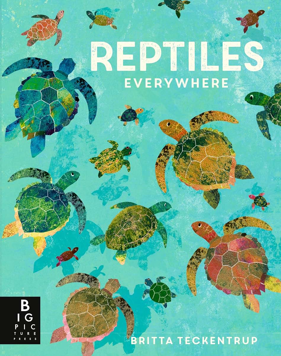 Reptiles Everywhere (Animals Everywhere)