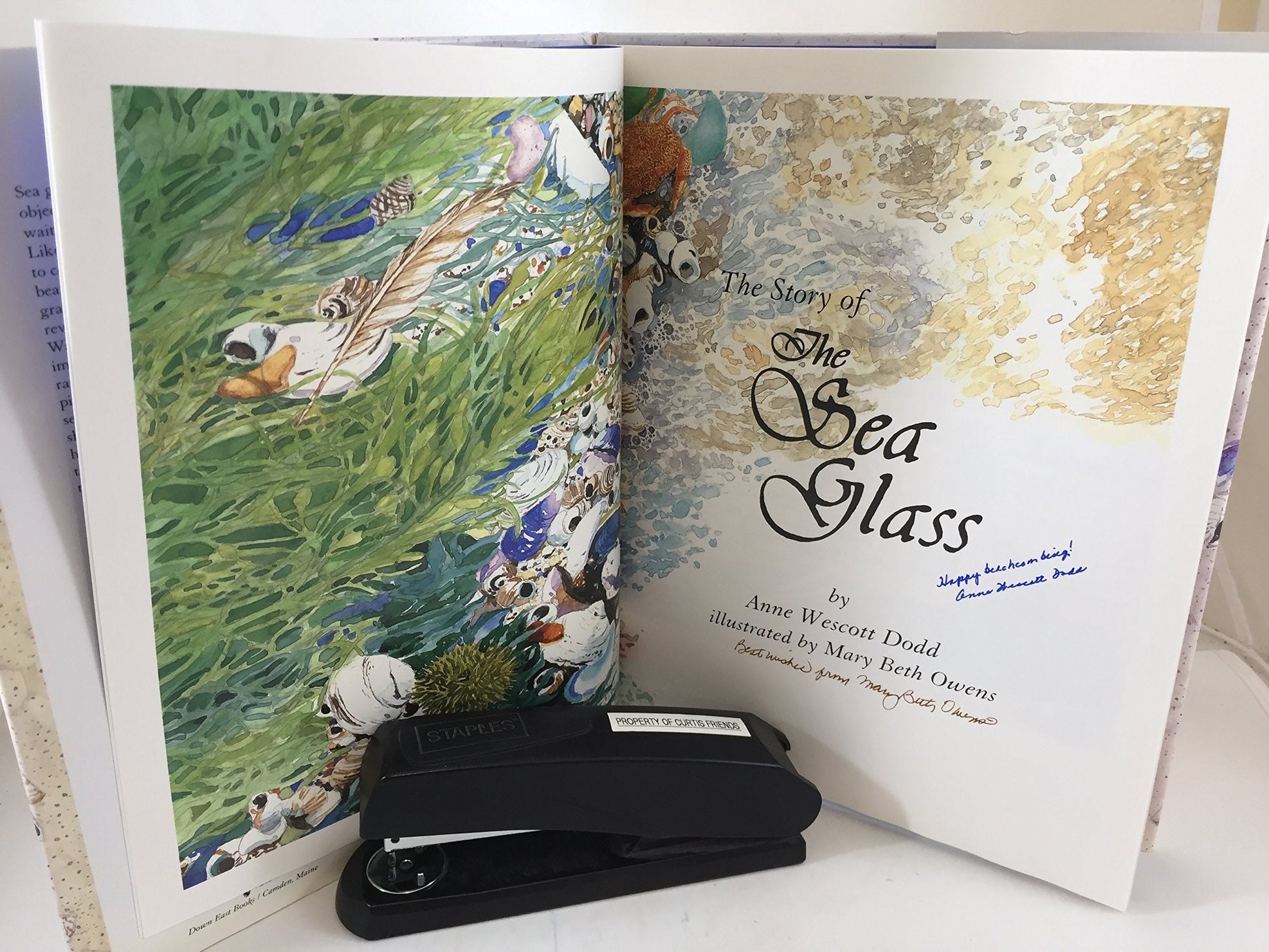 The Story of the Sea Glass