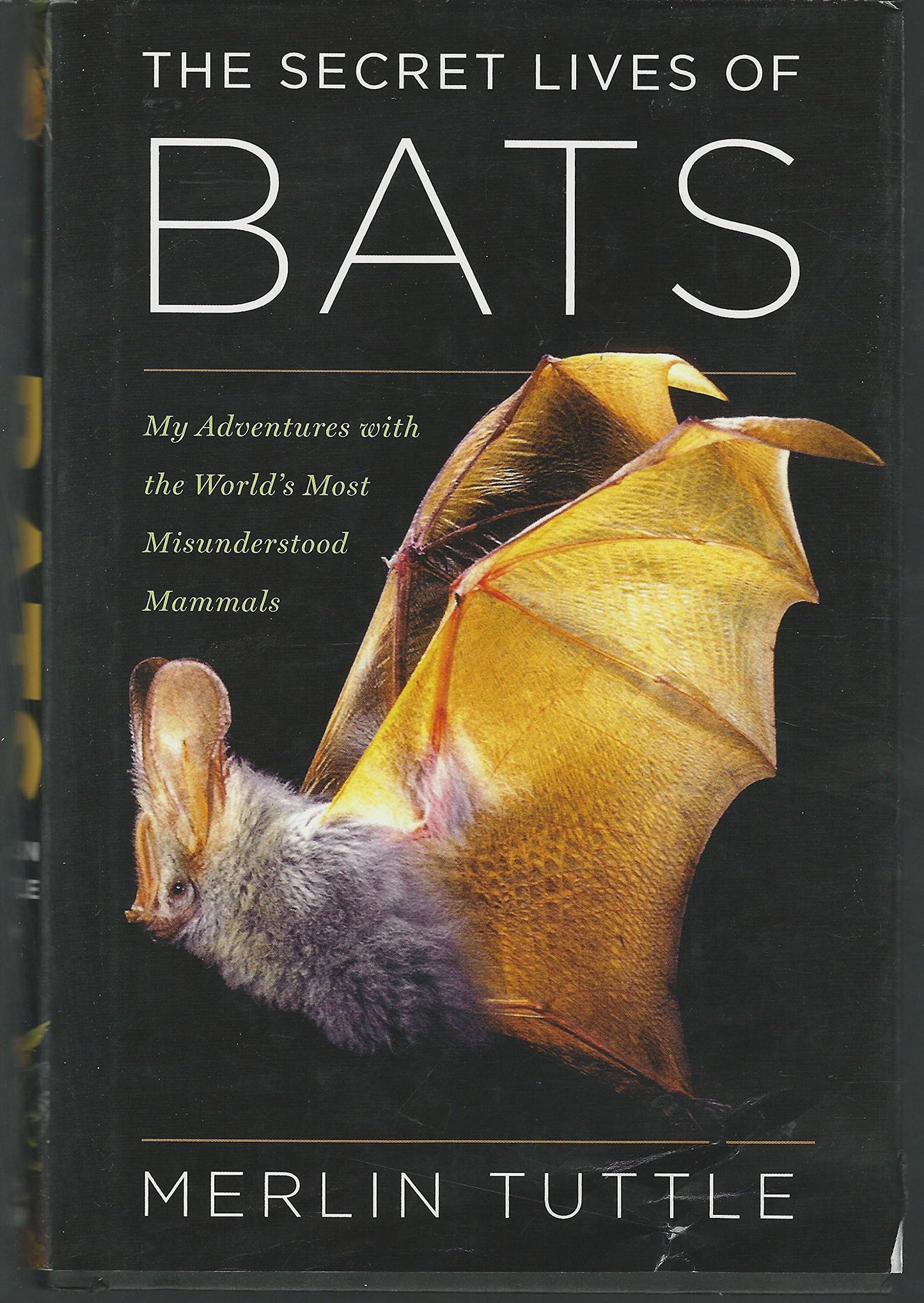 The Secret Lives of Bats: My Adventures with the World's Mos