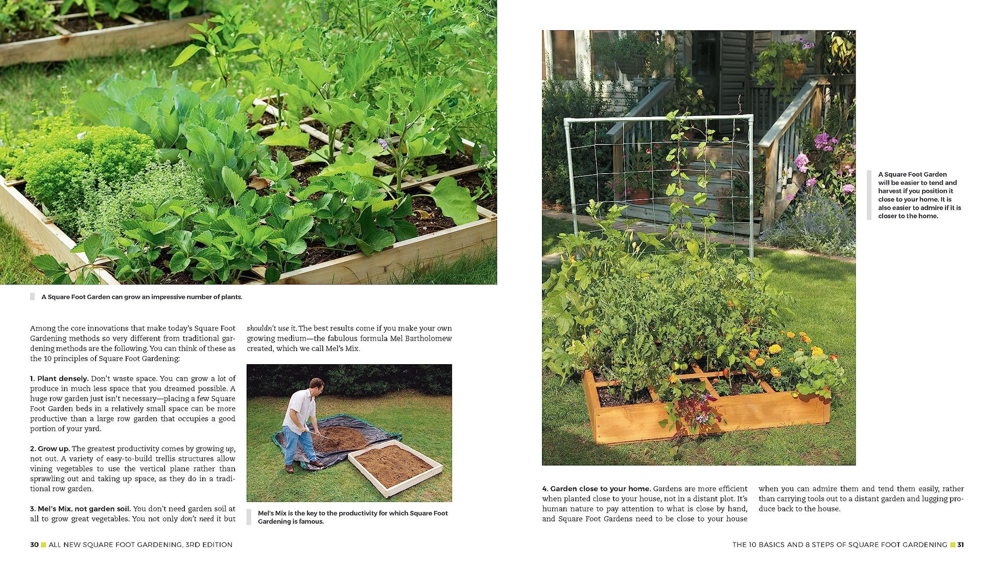 All New Square Foot Gardening, 3rd Edition, Fully Updated: MORE Projects - NEW Solutions - GROW Vegetables Anywhere (Volume 9) (All New Square Foot Gardening, 9)