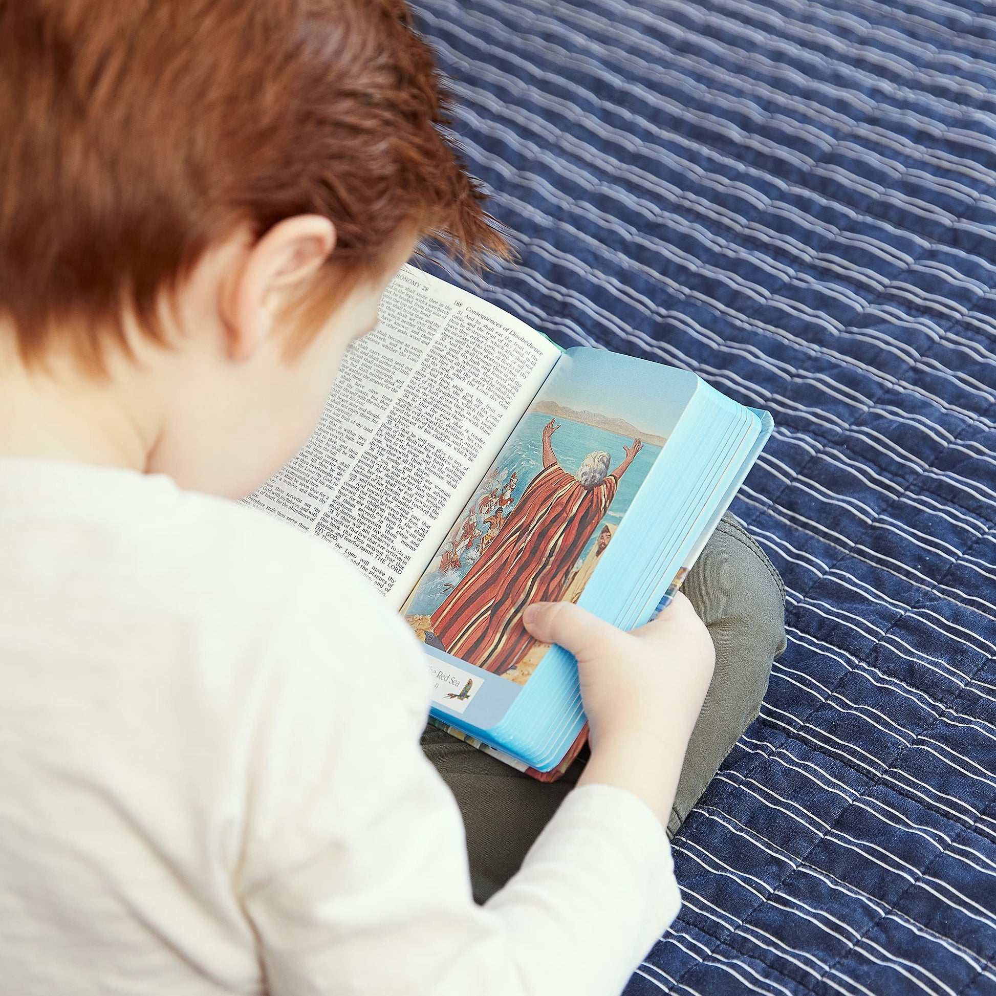 KJV Classic Children's Bible, Seaside Edition, Full-color Illustrations (Hardcover): Holy Bible, King James Version
