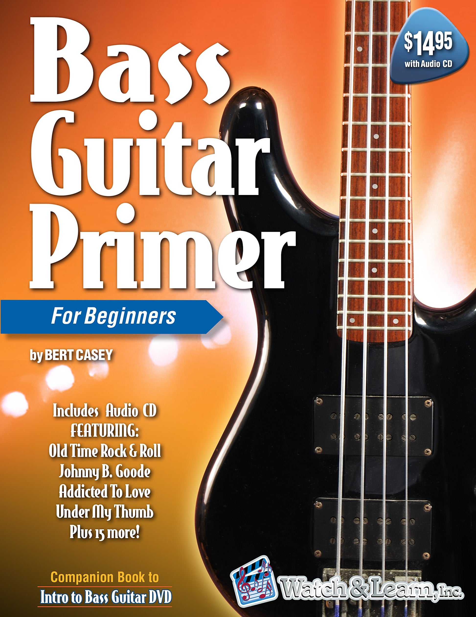 Bass Guitar Primer for Beginners