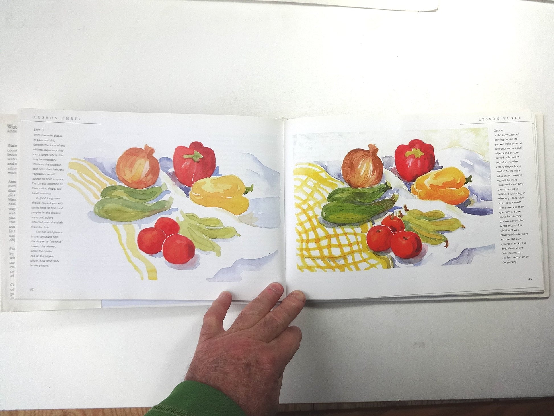 Watercolor Workbook