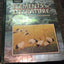 Elements of Literature: Student Edition World Literature 2006