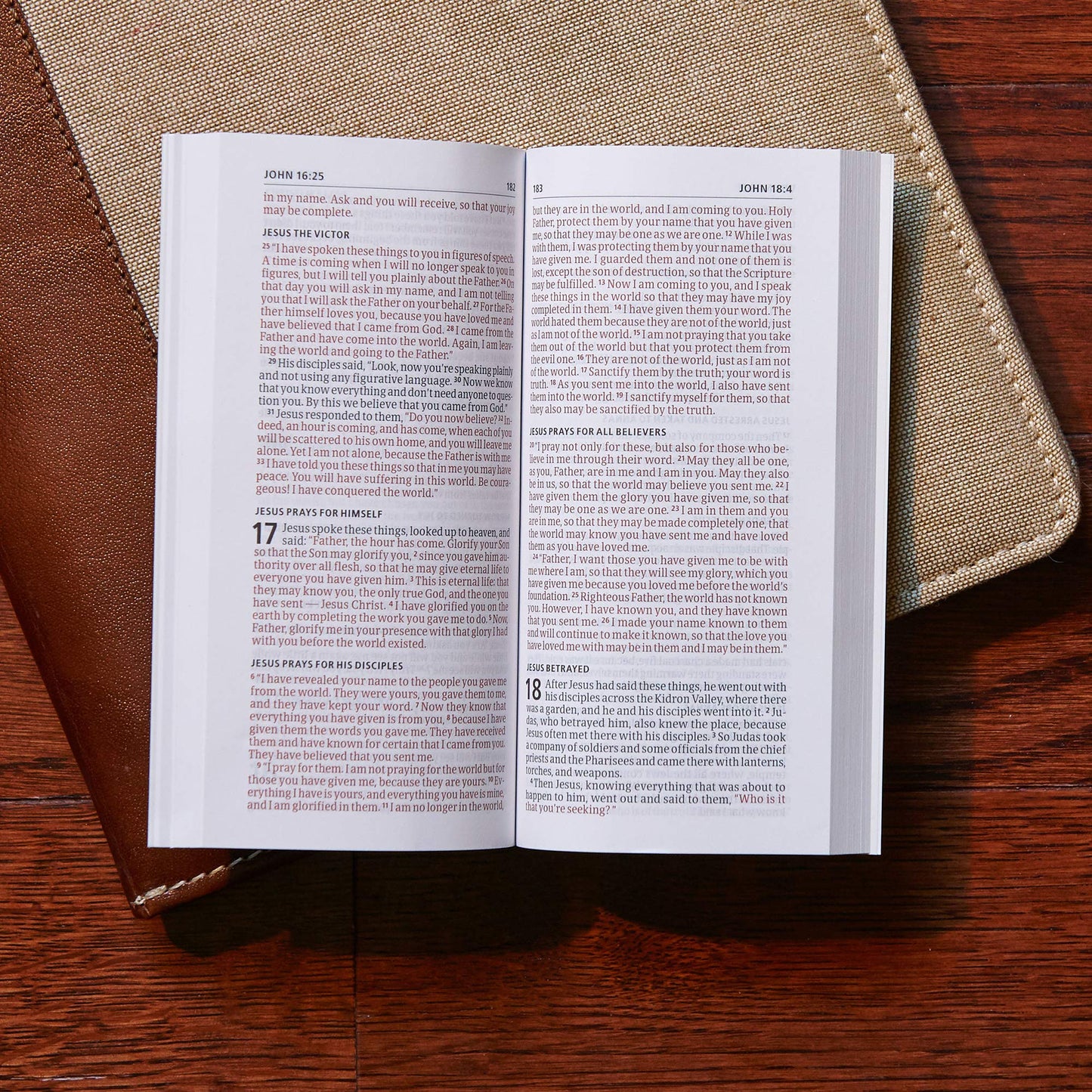 CSB Share Jesus Without Fear New Testament, Paperback, Red Letter, Gospel Presentation, Outreach, Evangelism, Common Questions, Easy-to-Read Bible Serif Type