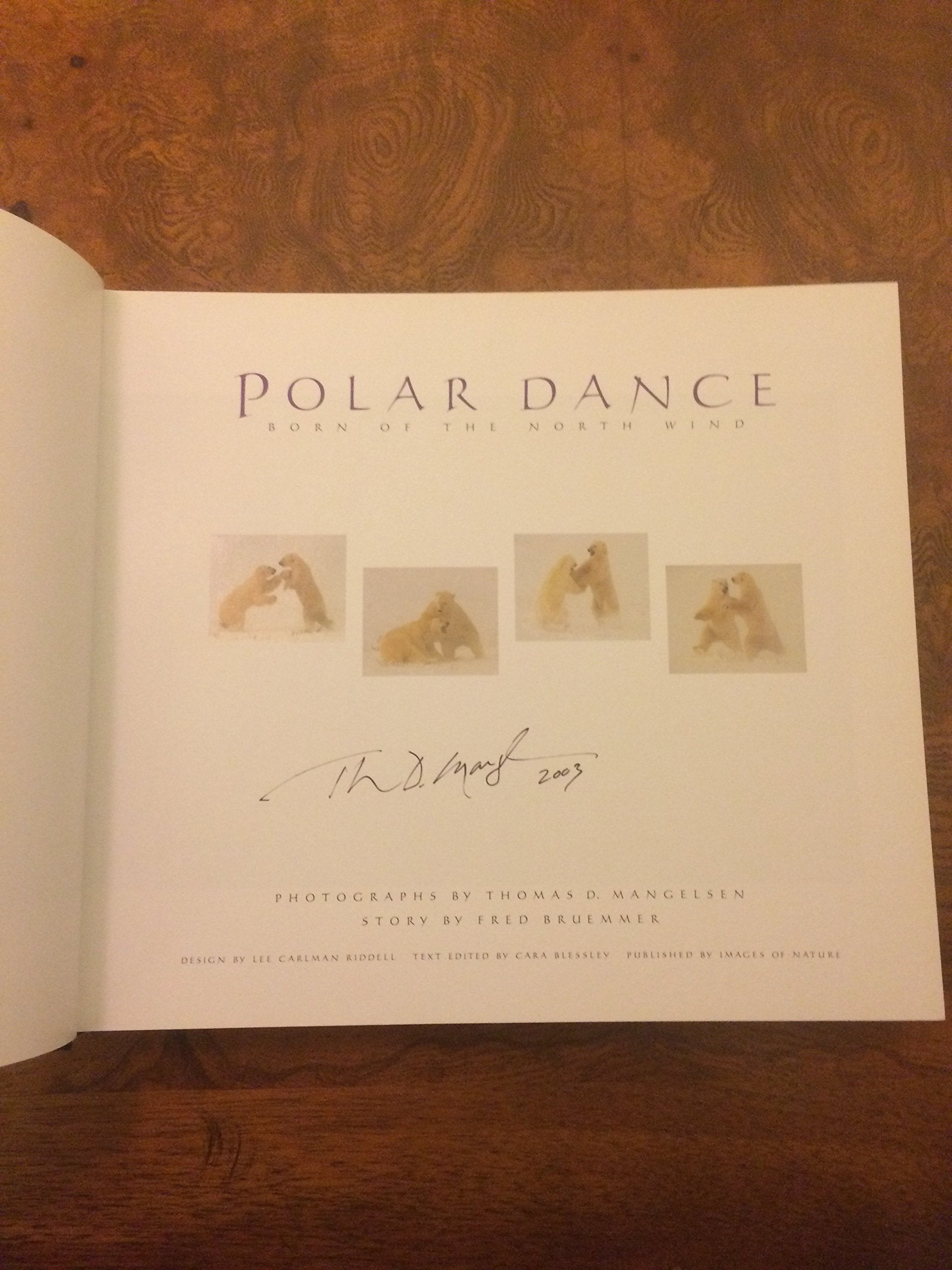 Polar Dance: Born of the North Wind