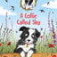Jasmine Green Rescues: A Collie Called Sky