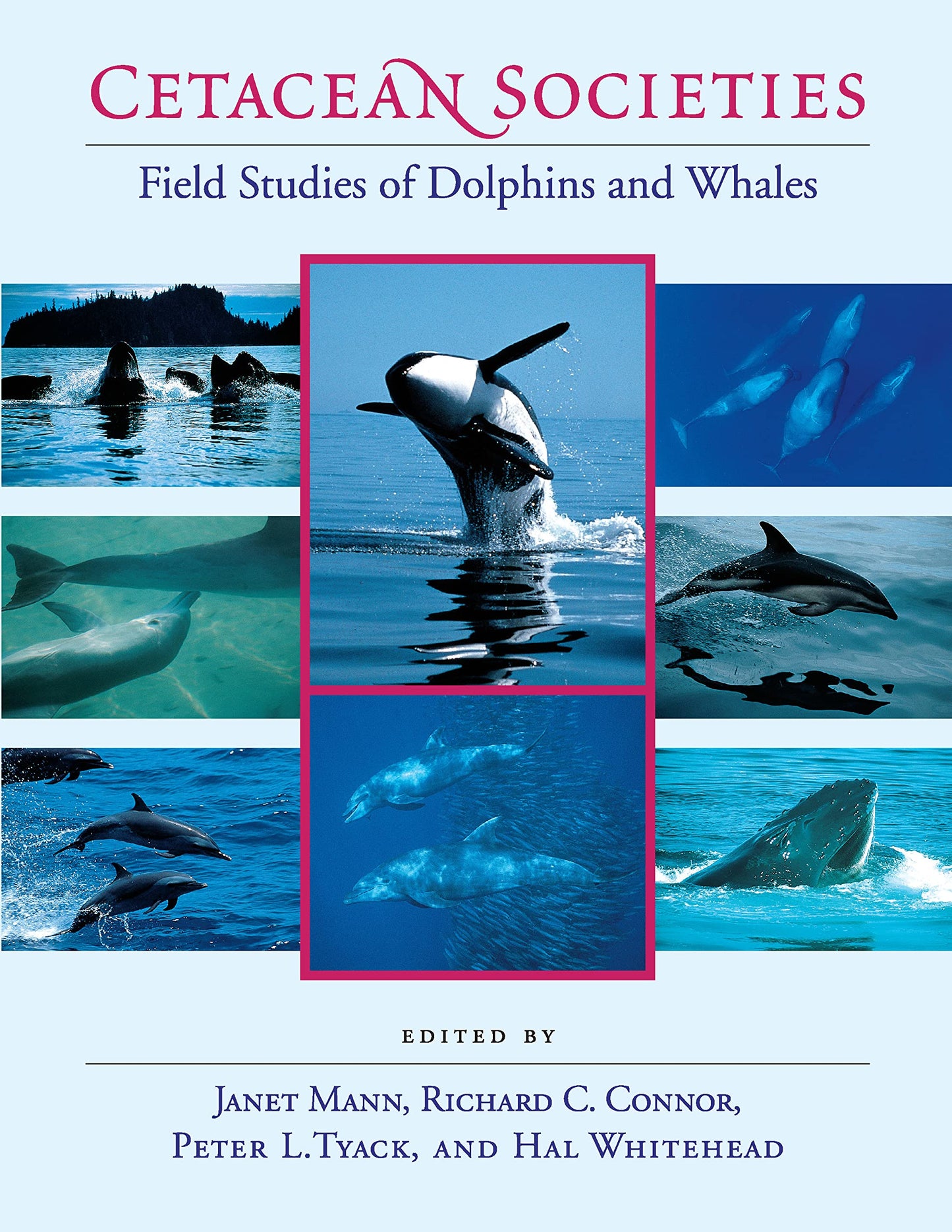 Cetacean Societies: Field Studies of Dolphins and Whales by