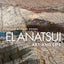 El Anatsui: Art and Life