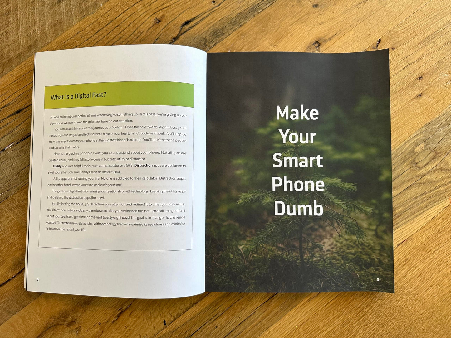 The Digital Fast Workbook: Detox Your Mind and Reclaim What Matters Most