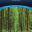 The Road Not Taken and Other Poems (Dover Thrift Editions)