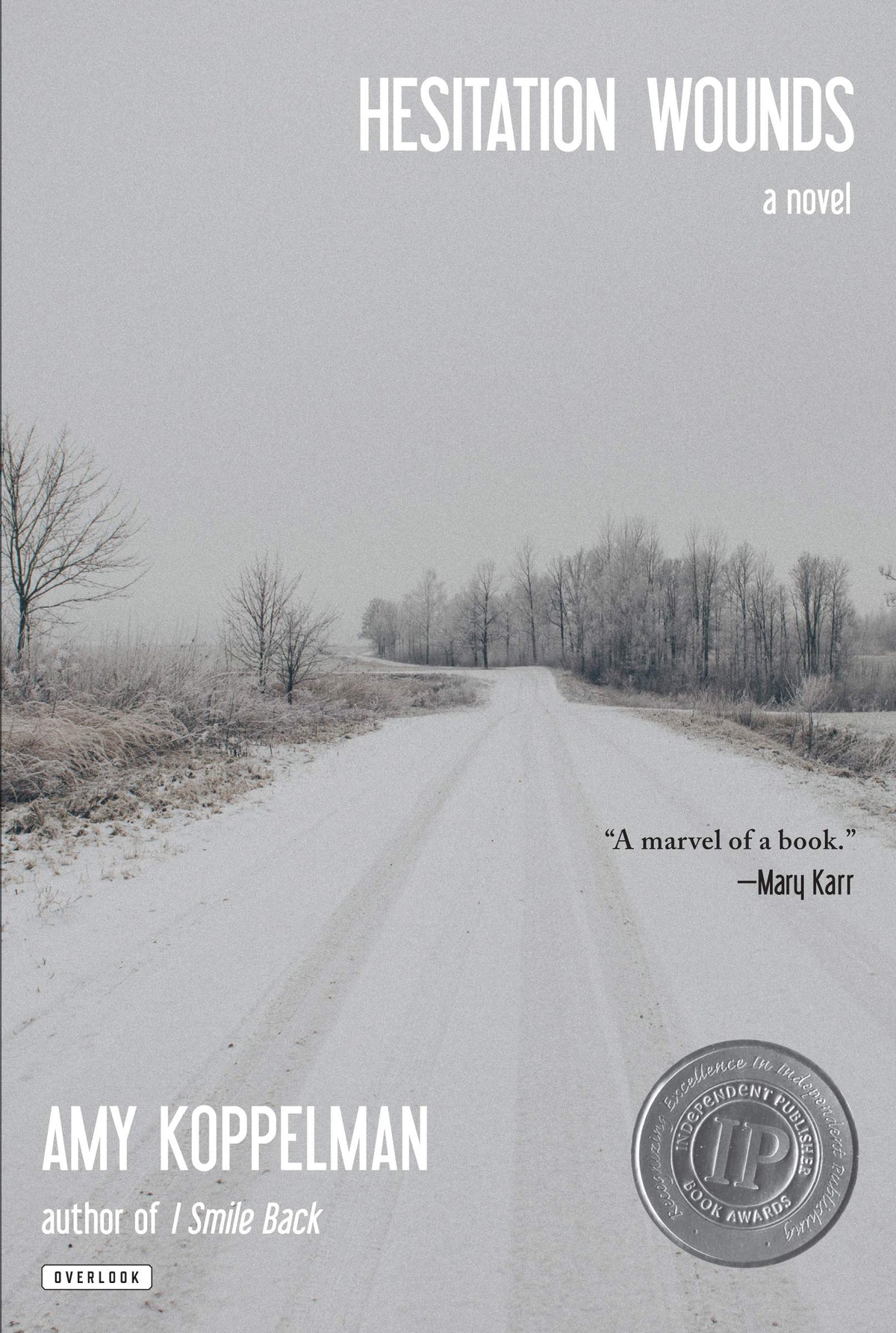 Hesitation Wounds: A Novel