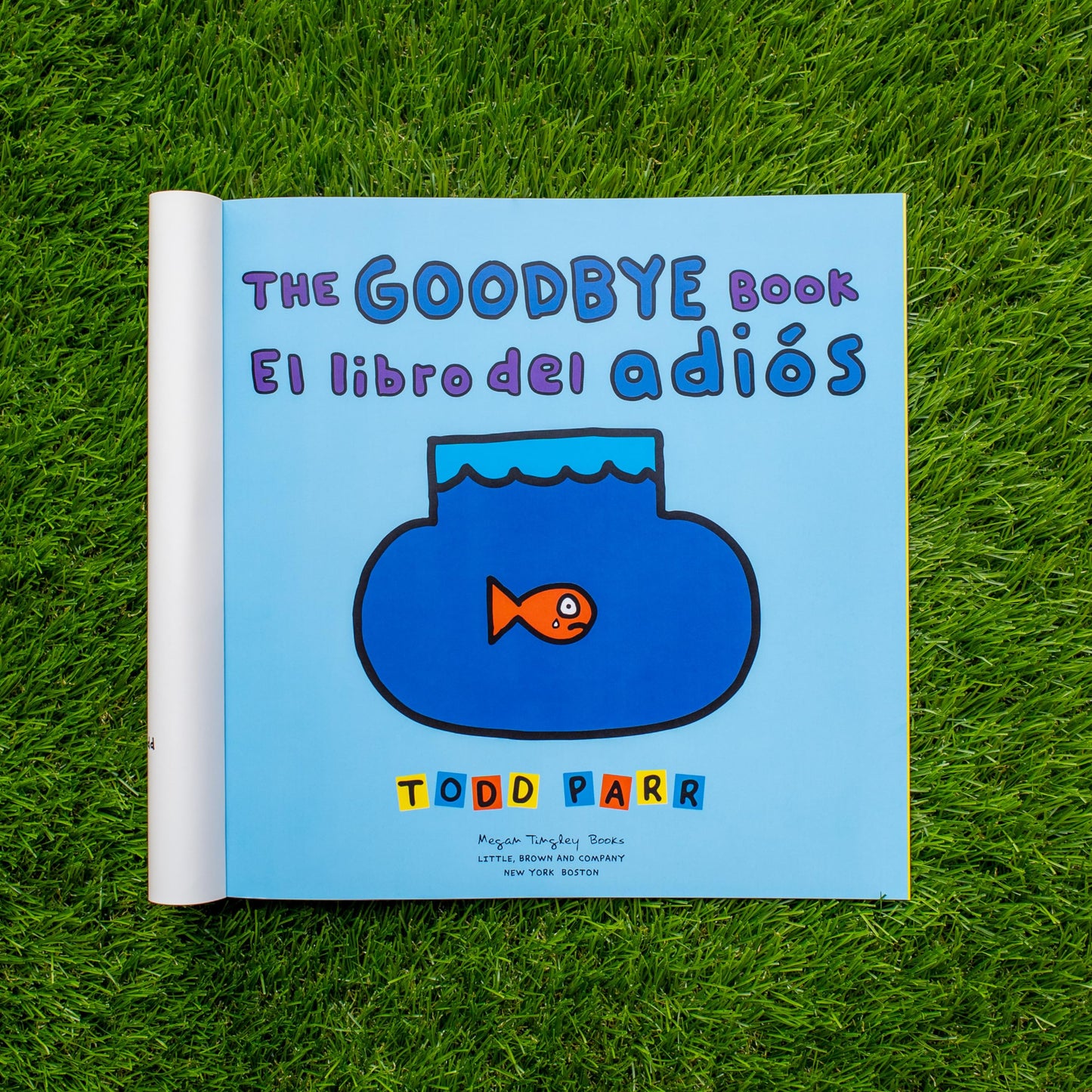 The Goodbye Book / El libro del adiós (Spanish and English Edition)