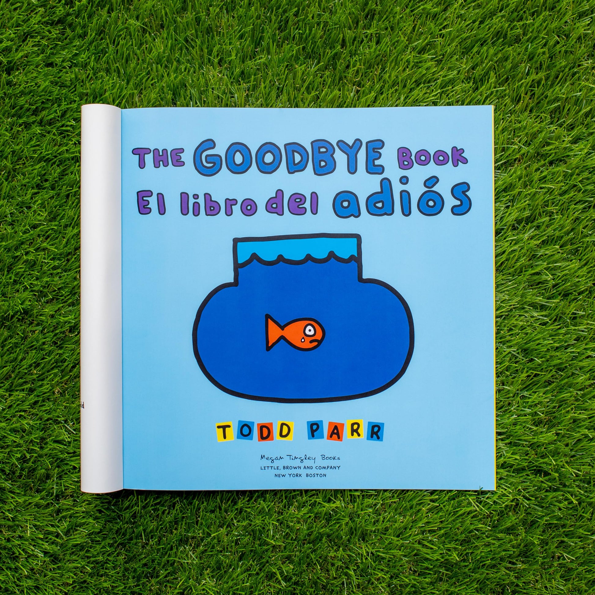 The Goodbye Book / El libro del adiós (Spanish and English Edition)