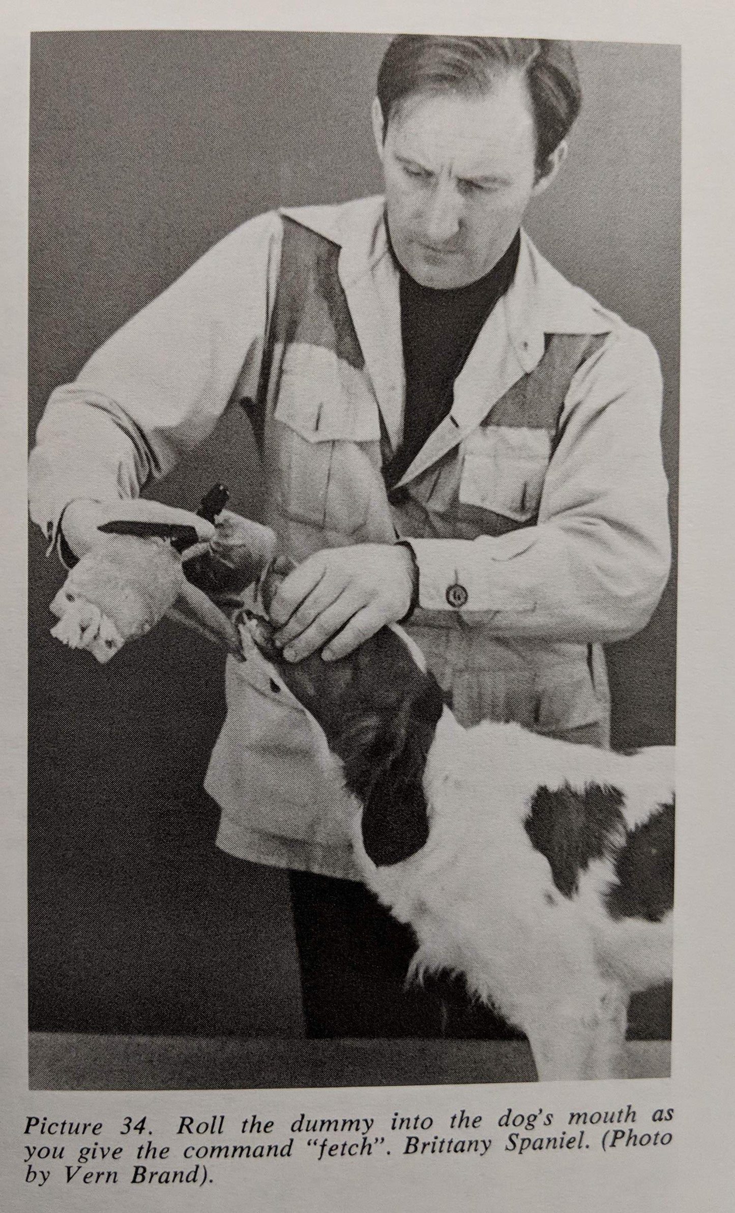 The training and care of the versatile hunting dog