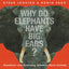 Why Do Elephants Have Big Ears?: Questions - and Surprising Answers - About Animals