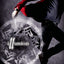 Illusion: Chronicles of Nick (Chronicles of Nick, 5)