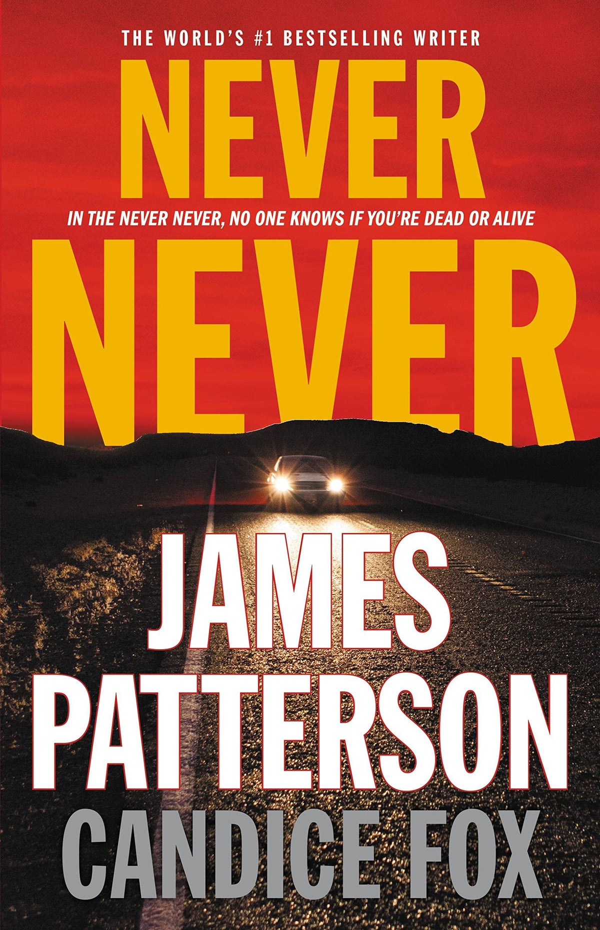 Never Never (Harriet Blue, 1)