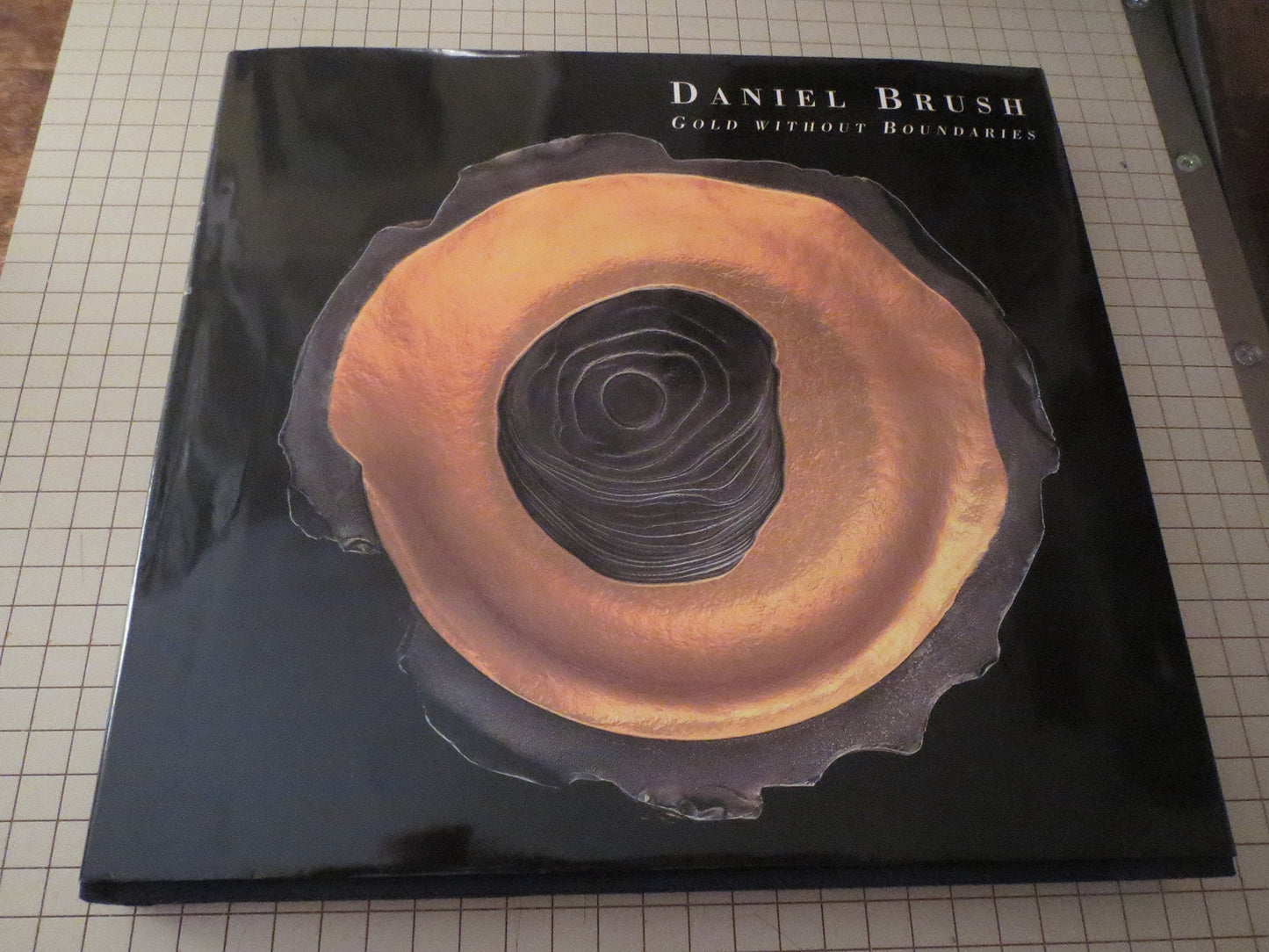 Daniel Brush Gold Without Boundaries by Kuspit, Donald
