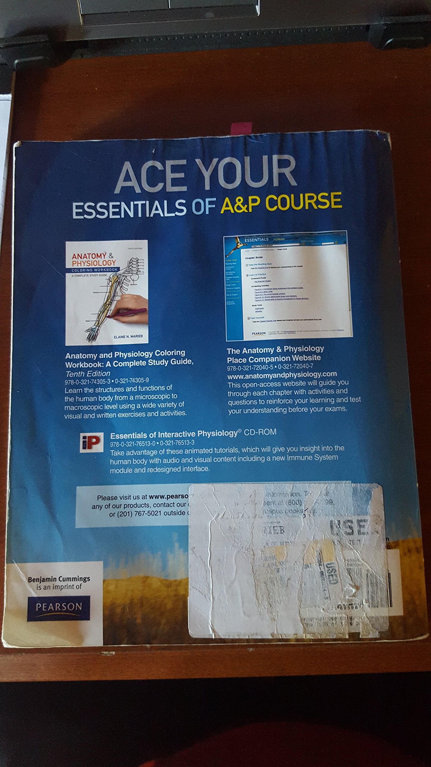 Essentials of Human Anatomy & Physiology (10th Edition)