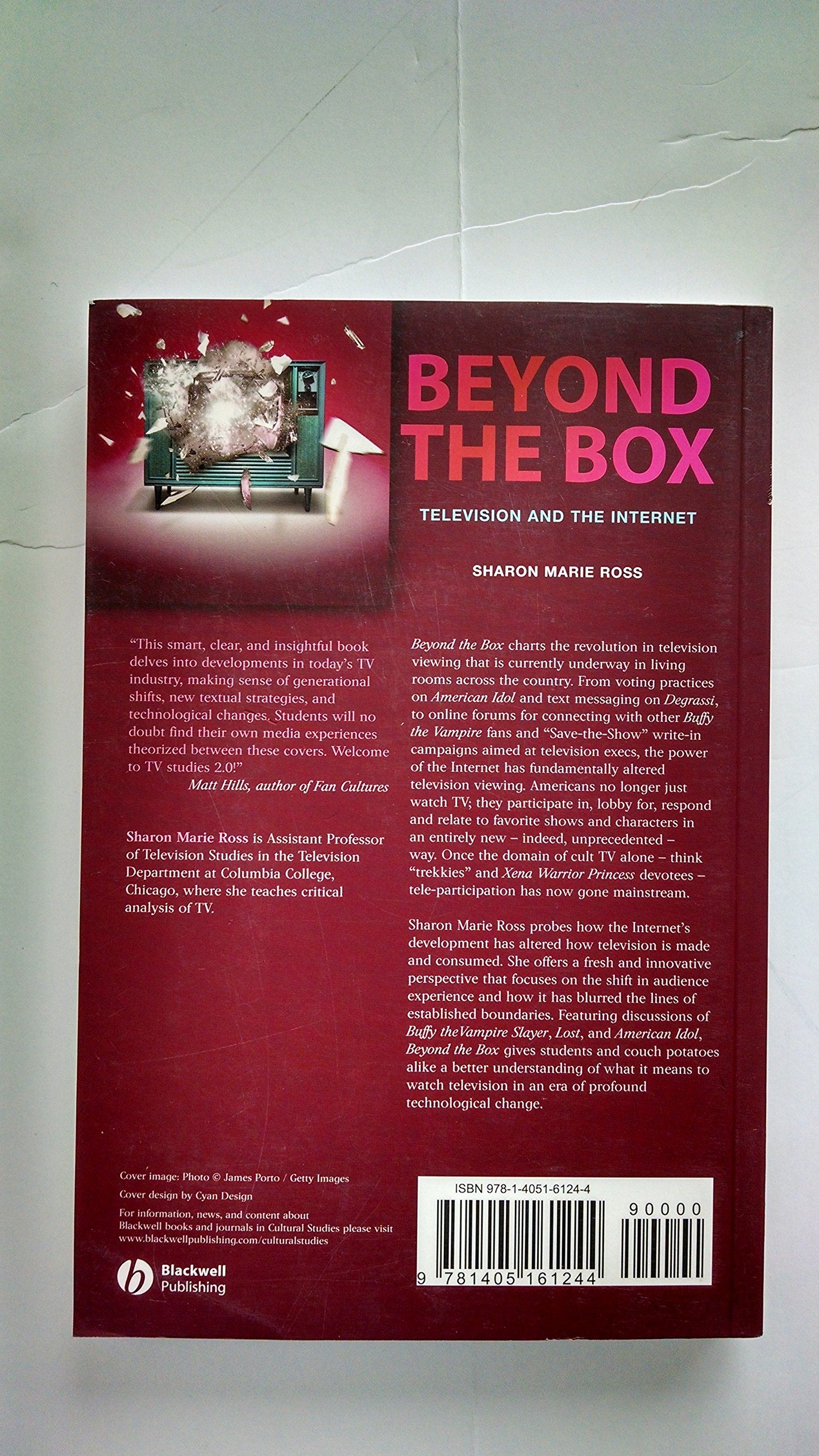 Beyond the Box: Television and the Internet