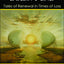 Why the World Doesnt End, Tales of Renewal in Times of Loss